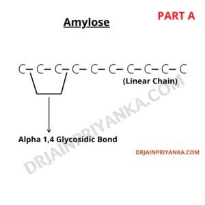 Amylose Structure Starch Types of Starch Structure of Starch 1