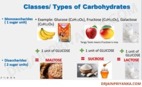 Classes of Carbohydrates - Monosaccharides, Glucose, Fructose, Galactose, Disaccharides, Maltose, sucrose,lactose