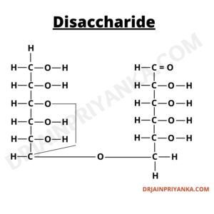 Disaccharide Structure - Classes of Carbohydrates, Disaccharide, Types of Carbohydrates , Example of Disaccharide, Structure of Disaccharide