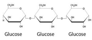 Maltotriose Structure - Classes of Carbohydrates, Maltotriose, Types of Carbohydrates , Example of Maltotriose , Structure of Maltotriose