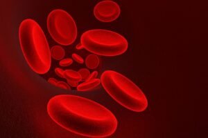 Red Blood Cells
