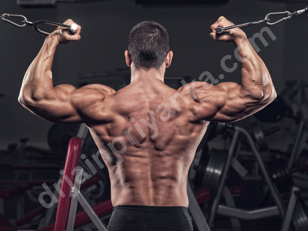 Biceps High Cable Curl Biceps High Cable Curl