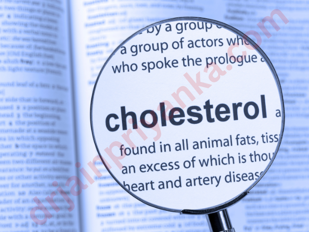 bad cholesterol
cholesterol
vldl & ldl